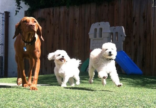 Daycare