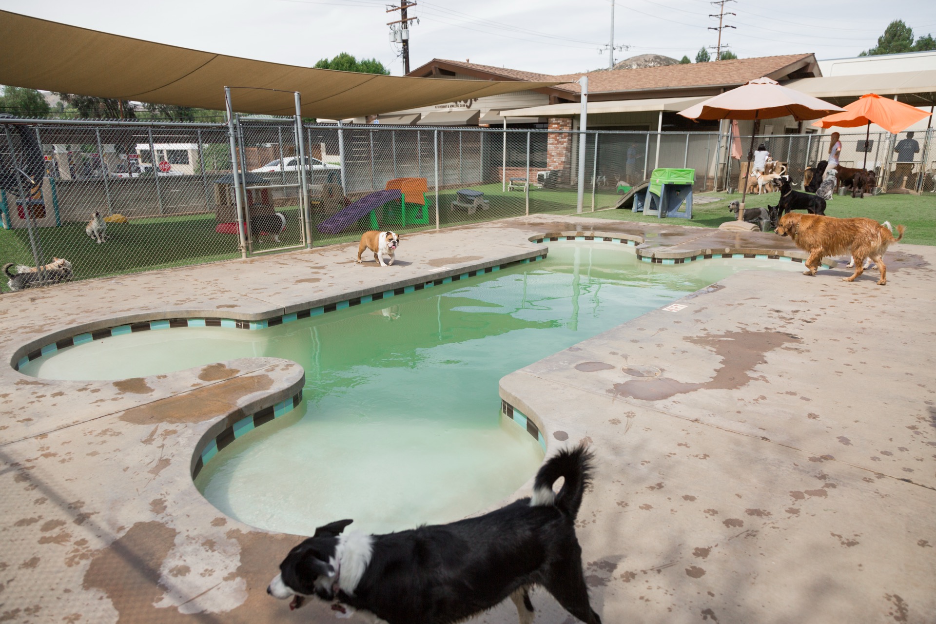 Bone-shaped pool at Dioji Agoura Hills