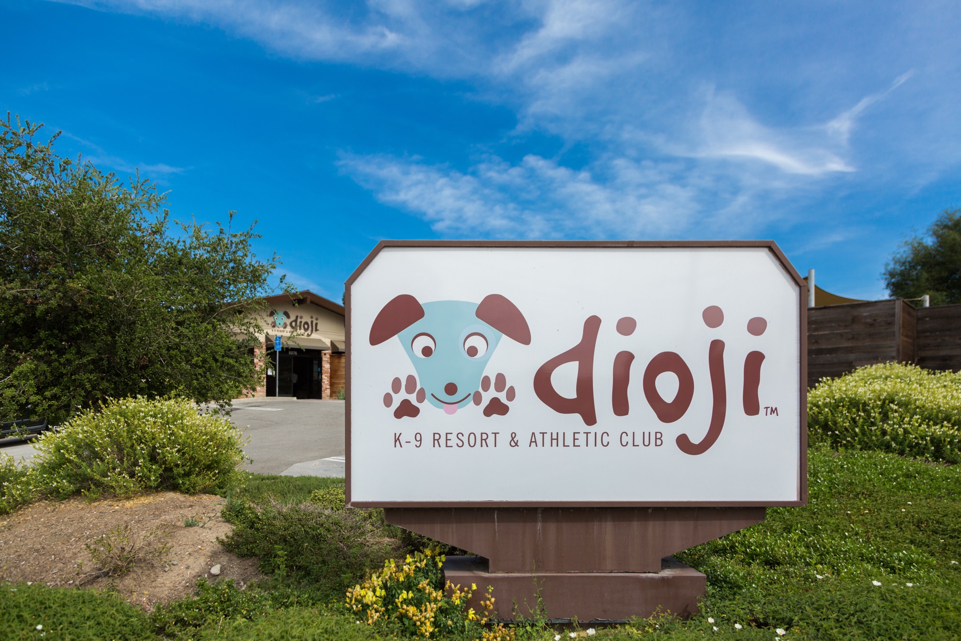 Dogs playing together at Dioji