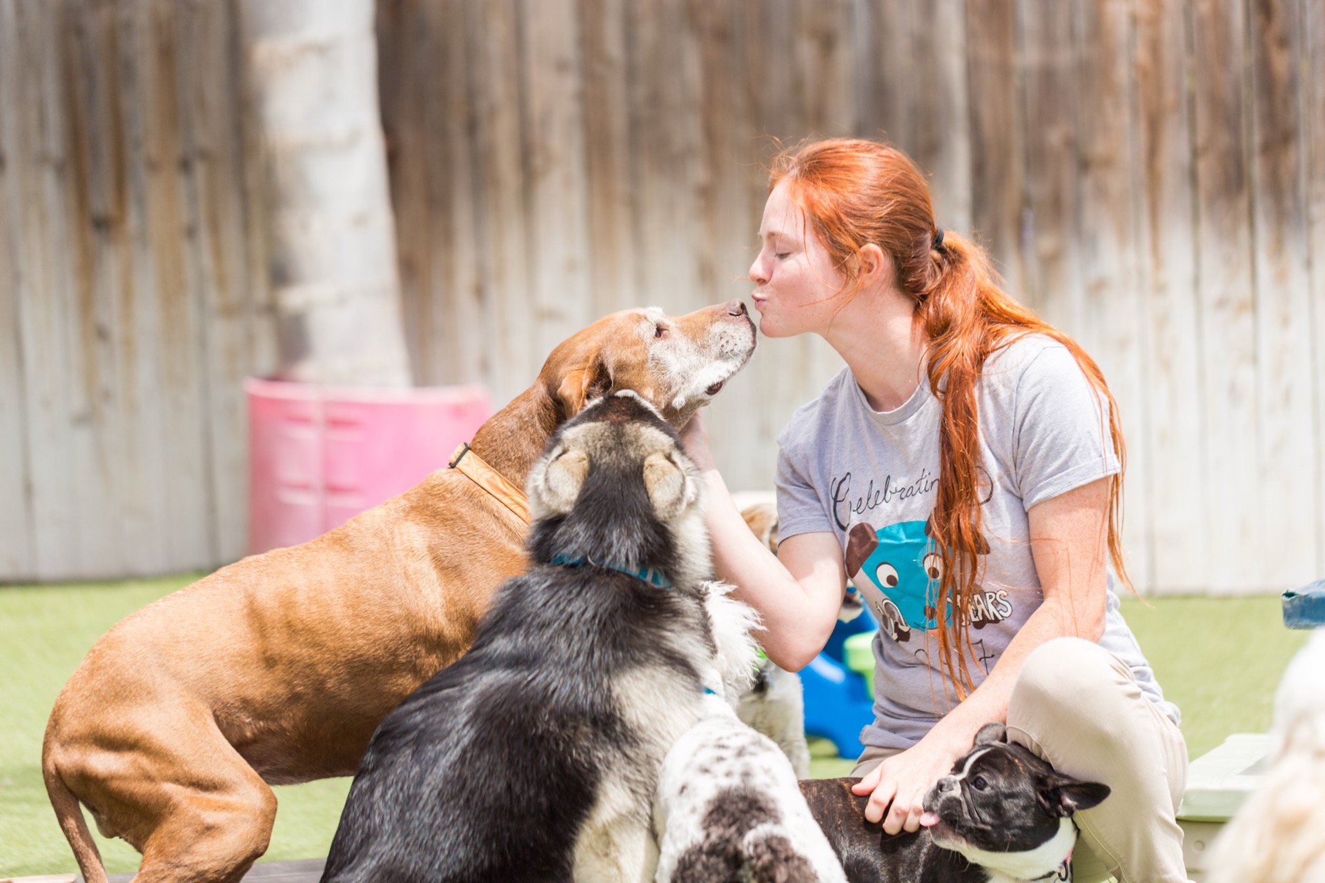 A Dioji team member greeting dogs in the Goleta yard